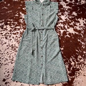 Adorable sleeveless shirt dress